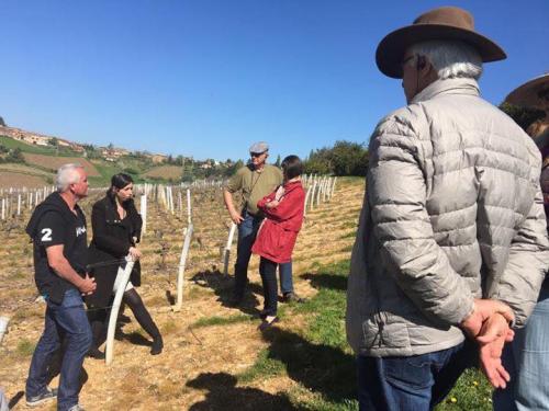 Louis Lucas checks out the vineyards of the Rhone