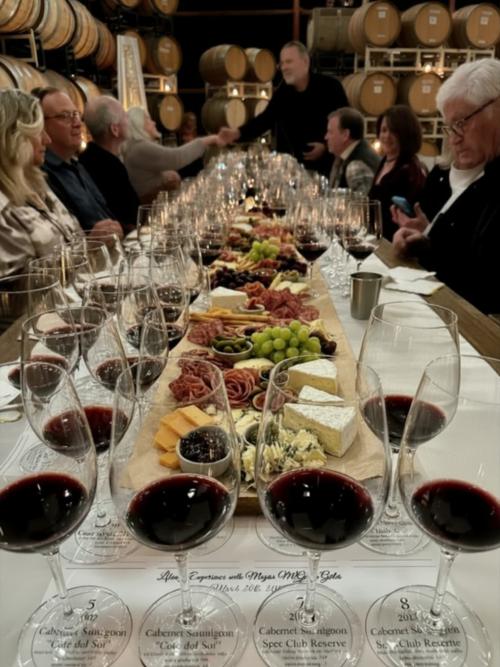 Library Experience tasting with wines and charcuterie on the cellar table