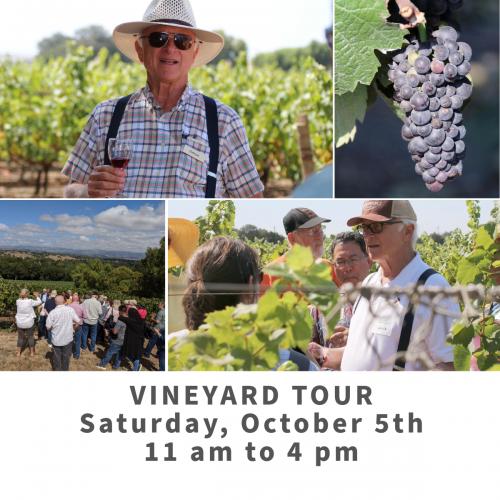 Various images of Louis Lucas in the sunny vineyard, tasting wine with guests, announcing Vineyard Tour event Various images of Louis Lucas in the sunny vineyard, tasting wine with guests, announcing Vineyard Tour event