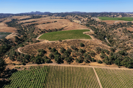 The scenic Goodchild Vineyard and High 9 hilltop in Santa Maria