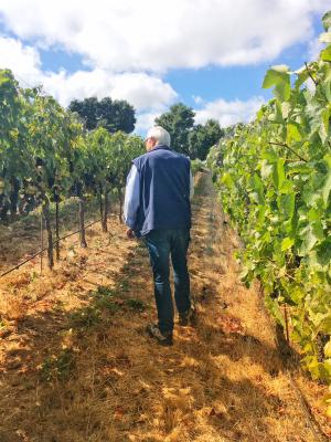 Image of Louis Lucas walking in the vineyard