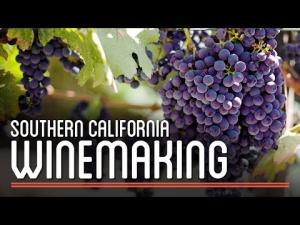Winemaking in Southern California | How to Brew Everything