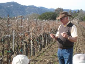 An image of Dirtman Louis Lucas giving a grapevine pruning lesson at Valley View Vineyard