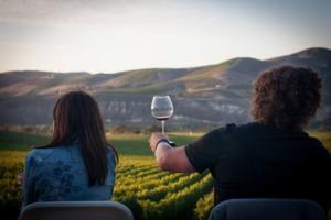 A photo of guests toasting at a vineyard