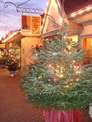 The Toccata Tasting Room storefront at the holidays with a Christmas Tree