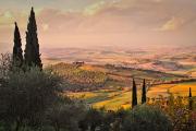 The rolling hillsides and vineyards of Tuscany